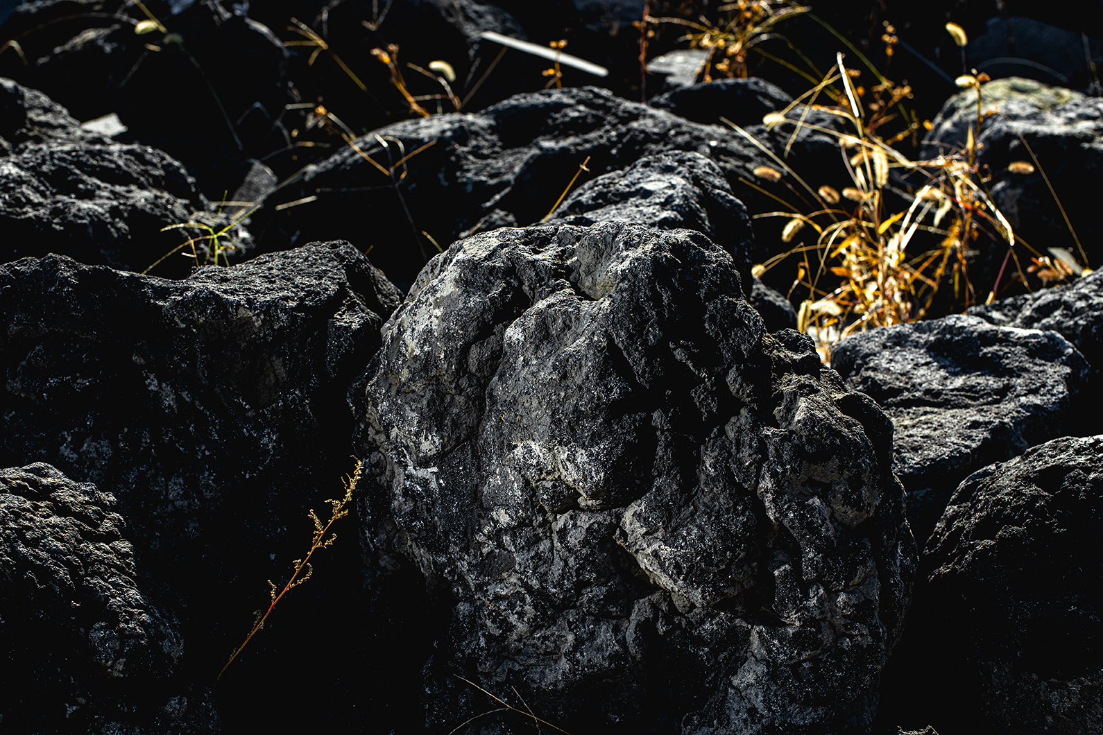 浅間山の溶岩石について